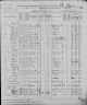 1895 Minnesota Stata Census Nagel.